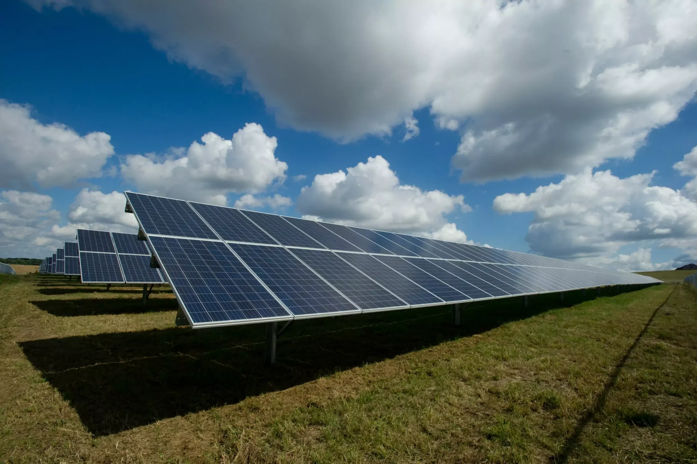 Solar panels on a field showcasing solar installation regulations south africa scaled jpeg